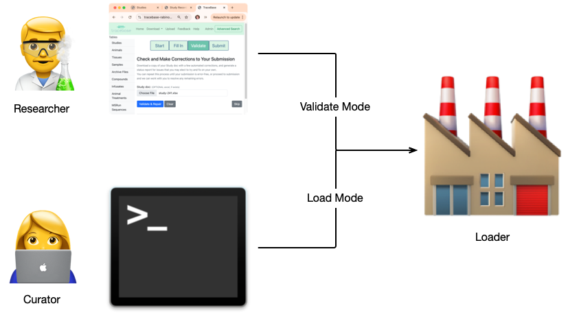 Researchers and Curators see the same errors